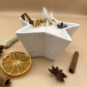 Etoile orange & cannelle